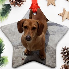 Weiner Dog Star Ornament (Two Sides) from ArtsNow.com Front