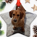 Weiner Dog Star Ornament (Two Sides)