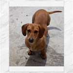 Weiner Dog Canvas 12  x 16 