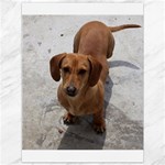Weiner Dog Canvas 36  x 48 