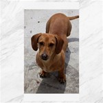 Weiner Dog Canvas 40  x 72 