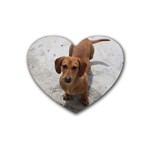 Weiner Dog Rubber Heart Coaster (4 pack)