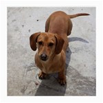 Weiner Dog Medium Glasses Cloth (2 Sides)