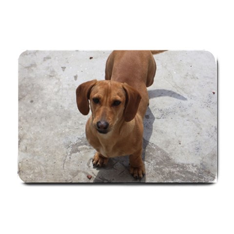 Weiner Dog Small Doormat from ArtsNow.com 24 x16  Door Mat