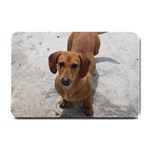 Weiner Dog Small Doormat