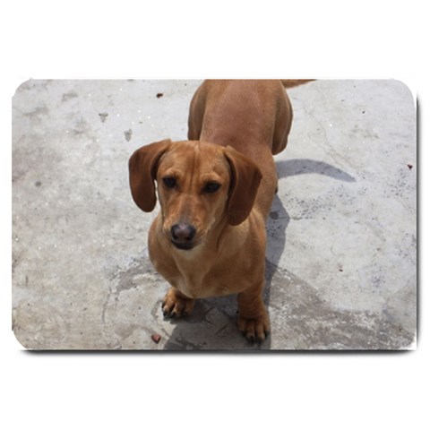 Weiner Dog Large Doormat from ArtsNow.com 30 x20  Door Mat