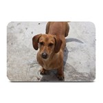 Weiner Dog Plate Mat