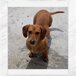 Weiner Dog Canvas 11  x 14 