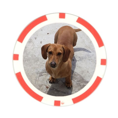 Weiner Dog Poker Chip Card Guard from ArtsNow.com Front