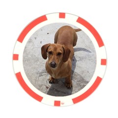 Weiner Dog Poker Chip Card Guard from ArtsNow.com Back