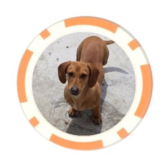 Weiner Dog Poker Chip Card Guard from ArtsNow.com Back