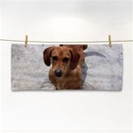 Weiner Dog Hand Towel