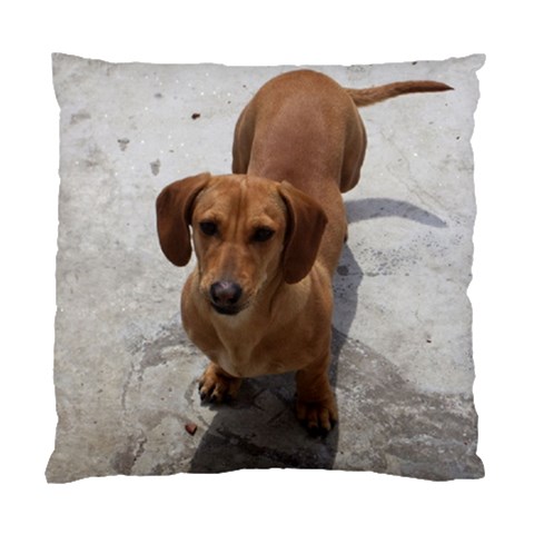 Weiner Dog Standard Cushion Case (One Side) from ArtsNow.com Front