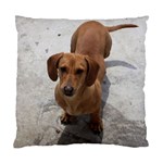 Weiner Dog Standard Cushion Case (One Side)