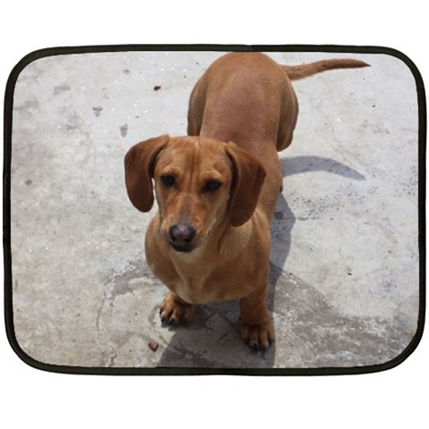 Weiner Dog Fleece Blanket (Mini) from ArtsNow.com 35 x27  Blanket