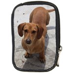 Weiner Dog Compact Camera Leather Case