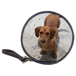 Weiner Dog Classic 20-CD Wallet