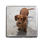 Weiner Dog Memory Card Reader (Square)
