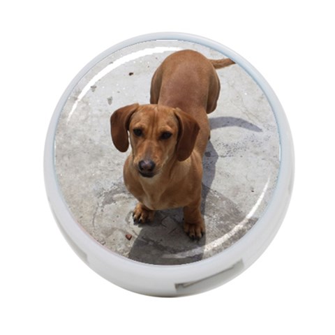 Weiner Dog 4 Front