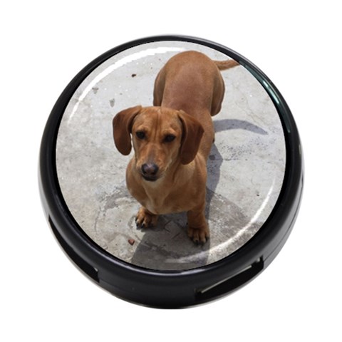 Weiner Dog 4 Front