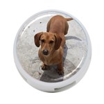 Weiner Dog 4-Port USB Hub (One Side)