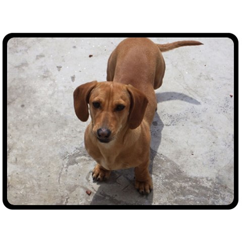 Weiner Dog Fleece Blanket (Large) from ArtsNow.com 80 x60  Blanket Front