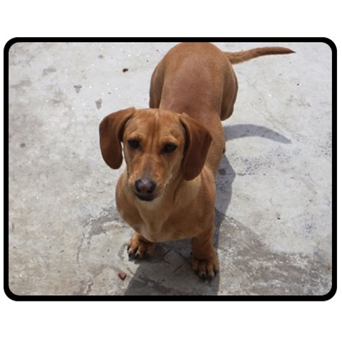 Weiner Dog Fleece Blanket (Medium) from ArtsNow.com 60 x50  Blanket Front