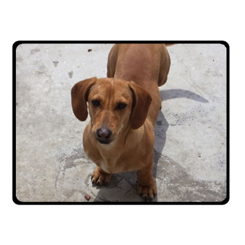 Weiner Dog Fleece Blanket (Small) from ArtsNow.com 50 x40  Blanket Front