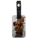 Weiner Dog Luggage Tag (one side)
