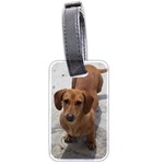 Weiner Dog Luggage Tag (two sides)
