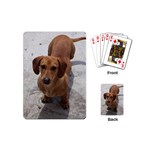 Weiner Dog Playing Cards (Mini)