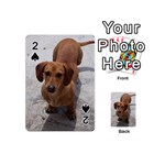 Weiner Dog Playing Cards 54 (Mini)