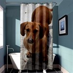 Weiner Dog Shower Curtain 36  x 72  (Stall)