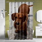 Weiner Dog Shower Curtain 48  x 72  (Small)