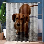 Weiner Dog Shower Curtain 60  x 72  (Medium)