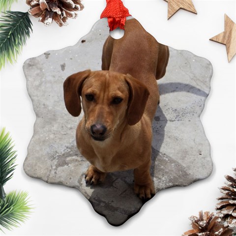Weiner Dog Ornament (Snowflake) from ArtsNow.com Front