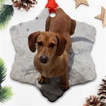 Weiner Dog Snowflake Ornament (Two Sides)