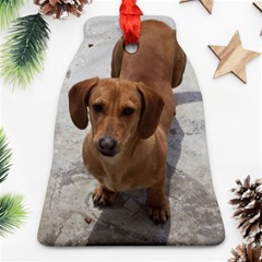 Weiner Dog Bell Ornament (Two Sides) from ArtsNow.com Back