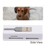 Weiner Dog Memory Card Reader (Stick)
