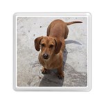 Weiner Dog Memory Card Reader (Square)