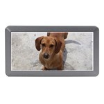 Weiner Dog Memory Card Reader (Mini)