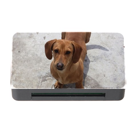 Weiner Dog Memory Card Reader with CF from ArtsNow.com Front