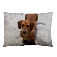 Weiner Dog Pillow Case (Two Sides) from ArtsNow.com Back
