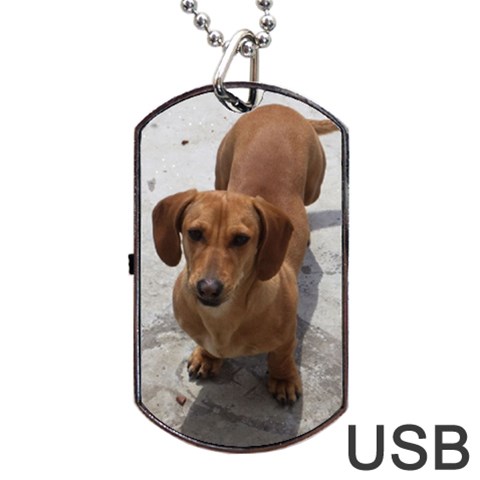 Weiner Dog Dog Tag USB Flash (Two Sides) from ArtsNow.com Front
