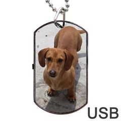 Weiner Dog Dog Tag USB Flash (Two Sides) from ArtsNow.com Front