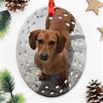 Weiner Dog Ornament (Oval Filigree)