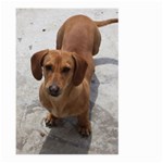 Weiner Dog Large Garden Flag (Two Sides)