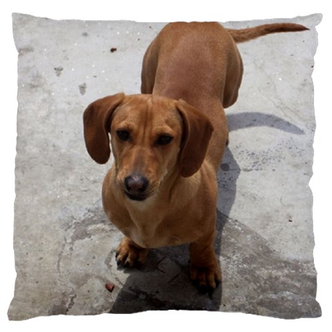 Weiner Dog Large Cushion Case (One Side) from ArtsNow.com Front