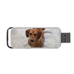 Weiner Dog Portable USB Flash (One Side)