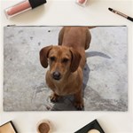 Weiner Dog Cosmetic Bag (XXL)